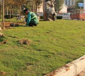 貴州建築工(gōng)程