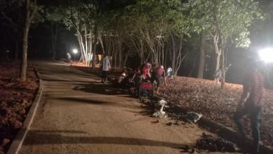 園林(lín)綠(lǜ)化(huà)設計(jì)